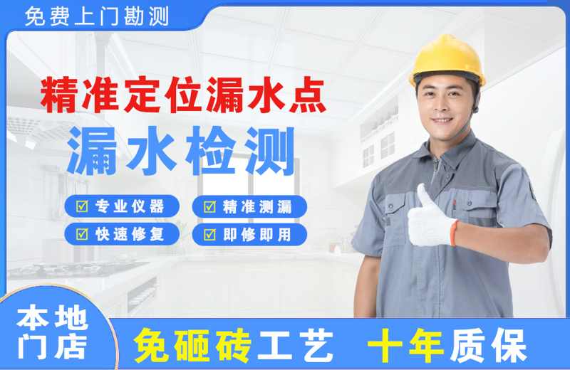 三元精准测漏点